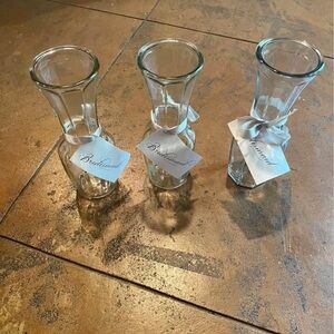 Elegant Glass Vase Set
